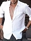 preiswerte Baumwoll-Leinenhemd-Herren leinenhemd Lässiges Hemd Sommerhemd Strandhemd Weiß Langarm Glatt Kargen Frühling Sommer Hawaiianisch Festtage Bekleidung Grundlegend