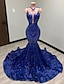 cheap Evening Dresses-Mermaid Black Dress Evening Gown Elegant Dress Carnival Formal Court Train Sleeveless Illusion Neck African American Sequined with Sequin 2024