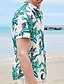 abordables Camisas estampadas para hombre-Hombre Camisa camisa hawaiana Abotonar la camisa Camisa de verano Camisa casual Azul Piscina Mangas cortas Estampados Diseño Calle Vacaciones Estampado Ropa Moda Ocio Hawaiano