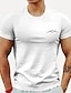お買い得  メンズプラスサイズTシャツ-男性用 プラスサイズ ビッグトール Tシャツ クルーネック ホワイト 半袖 アウトドア お出かけ プリント グラフィック 衣類 コットン混 ストリートファッション スタイリッシュ カジュアル