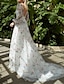 cheap Wedding Dresses-Beach Wedding Dresses in Color Wedding Dresses A-Line V Neck Long Sleeve Court Train Lace Bridal Gowns With Flower 2024