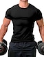 abordables Camisetas casuales de hombre-Hombre Camiseta Tee Color sólido Cuello Barco Deportes Gimnasia Manga Corta Ropa Ropa deportiva Clásico Músculo Esencial