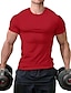 preiswerte Lässige T-Shirts für Herren-Herren T Shirt Tee Feste Farbe Rundhalsausschnitt Sport Fitnessstudio Kurzarm Bekleidung Sportbekleidung Klassisch Muskel Wesentlich