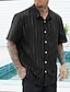 Χαμηλού Κόστους Ανδρικά πουκάμισα casual σε Plus Size-Ανδρικά Πουκάμισο Πουκάμισο με κουμπιά Ριγέ Απορρίπτω Μαύρο Μεγάλα Μεγέθη ΕΞΩΤΕΡΙΚΟΥ ΧΩΡΟΥ Διακοπές Κοντομάνικο Ρούχα Μοντέρνο Στυλ Ρετρό / Βίντατζ