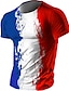 olcso zászló-Férfi Póló Pólók Grafika Franciaország Zászló Terített nyak Ruházat 3D nyomtatás Szabadtéri Hétköznapi Rövid ujjú Nyomtatott Szüret Divat Dizájn