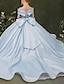 זול שמלות לילדות פרחים-נשף שובל סוויפ \ בראש שמלה לנערת הפרחים  יום הולדת Cinderella נערות שמלת נשף חמודה סאטן עם פפיון(ים) Frozen מתאים 3-16 שנים