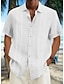 رخيصةأون قميص قطن كتان-رجالي قميص Guayabera قميص غير رسمي قميص صيفي قميص الشاطئ أبيض أزرق كاكي كم قصير مخطط Lapel للربيع والصيف ستايل هاواي مناسب للعطلات ملابس طباعة