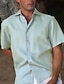 Χαμηλού Κόστους Βαμβακερό Λινό Πουκάμισο-Ανδρικά λινό πουκάμισο Πουκάμισο με κουμπιά Casual πουκάμισο Καλοκαιρινό πουκάμισο Πουκάμισο παραλίας Λευκό Πράσινο Ανοικτό Κοντομάνικο Σκέτο Πέτο Καλοκαίρι Causal Καθημερινά Ρούχα