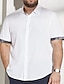 Недорогие Мужские повседневные рубашки больших размеров-Муж. Рубашка Кнопка рубашка Рубашка на пуговицах спереди В клетку Отложной Белый Большие размеры на открытом воздухе Отпуск С короткими рукавами Одежда Современный Ретро