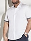 preiswerte Freizeithemden in Übergröße für Herren-Herren Hemd Knopfhemd Hemd mit Knopfleiste vorne Plaid Umlegekragen Weiß Übergröße Outdoor Urlaub Kurzarm Bekleidung Moderner Stil Retro Vintage