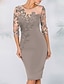 お買い得  カクテルドレス-Sheath Cocktail Elegant Dress Fall Wedding Guest Dress Long Sleeve Black Dress Midi Dress Floral Embroidery Illusion Neck With Beading Lace 2024