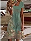abordables Robes à motifs-Femme Floral Imprimer Col V Robe mi-longue basique Intérieur du quotidien Manche Courte Eté Printemps