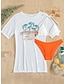 cheap Bikini Sets-Women&#039;s Swimwear Bikini Beach Top Normal Swimsuit 3-Piece Printing Palm Tree Black Pink Orange Bathing Suits Sports Beach Wear Summer