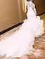 olcso Menyasszonyi ruhák-Eljegyzés Plusz méretű görbe Előírásos Esküvői ruhák Harang fazon Aszimmetrikus Hosszú ujj Katedrális uszály Csipke Menyasszonyi ruhák Val vel Rátétek Egyszínű 2024