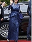 זול שמלות במידות גדולות-מעטפת \ עמוד שמלה לאם הכלה  אורחת חתונה אלגנטית מסיבה נוצץ וזוהר עם תכשיטים באורך הקרסול נצנצים שרוול ארוך עם תחרה קפלים 2024