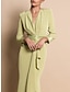 cheap Mother of the Bride Dresses-Sheath / Column Mother of the Bride Dress Formal Wedding Guest Elegant Party V Neck Sweep / Brush Train Stretch Chiffon Long Sleeve with Draping Ruching 2024