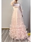 cheap Prom Dresses-A-Line Prom Dresses Maxi Dress Wedding Guest Sweet 16 Floor Length Long Sleeve Scoop Neck Tulle with Appliques Butterfly 2024