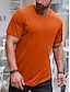 baratos Camisetas masculinas casuais-Homens Camiseta Camisetas Tecido Decote V Manga Curta Roupa Músculo Corte Justo Confortável Grande e Alto