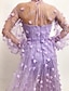 cheap Prom Dresses-A-Line Prom Dresses Floral Dress Wedding Guest Prom Floor Length Long Sleeve V Neck Tulle with Appliques 2024