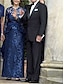 זול שמלות במידות גדולות-מעטפת \ עמוד שמלה לאם הכלה  אורחת חתונה אלגנטית מסיבה נוצץ וזוהר עם תכשיטים באורך הקרסול נצנצים שרוול ארוך עם תחרה קפלים 2024