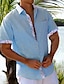 tanie Koszule bawełniane i lniane-Męskie lniana koszula Codzienna koszula Letnia koszula Koszula plażowa Biały Niebieski Koniczyna Krótki rękaw Równina Klapa Wiosna i lato Hawajskie Święto Odzież Przednia kieszeń