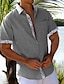ieftine Cămăși Bumbac-Bărbați cămașă de in Cămașă casual Cămașă de vară Cămașă de plajă Alb Albastru piscină Verde Manșon scurt Simplu Rever Primavara vara Hawaiian Concediu Îmbrăcăminte Buzunar frontal
