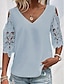 ieftine Bluze simple pentru femei-Pentru femei Cămașă din dantelă Bluză Simplu Zilnic Sfârșit de săptămână Dantelă Eliminat Alb Manșon Jumate Elegant Modă De Bază În V