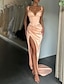 cheap Prom Dresses-Mermaid / Trumpet Evening Gown Corsets Dress Formal Wedding Guest Court Train Sleeveless V Neck Charmeuse with Slit Pure Color 2024