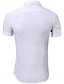 billige Skjorter til mænd-Herre Skjorte Jakkesætsskjorter Sort Hvid Navyblå Kortærmet Knaphul Sommer Bryllup Kontor og karriere Tøj