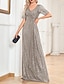 cheap Party Dresses-A-Line Party Dresses Elegant Dress Formal Wedding Guest Floor Length Short Sleeve V Neck Sequined with Sequin 2024