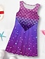 cheap Girl&#039;s 3D Dresses-Kids Little Girls&#039; tank Dress rainbow Color Graphic A Line Dress Daily Holiday Vacation Print Purple Above Knee Sleeveless Casual Cute Sweet Dresses Spring Summer Regular Fit 3-10 Years