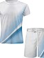 baratos Conjuntos de camisetas estampadas masculinas-Homens Gráfico Bloco de cor 2pcs Conjuntos de camisetas Conjunto de shorts e camiseta Roupas de camiseta Manga Curta Gola Redonda Designer Casual Confortável Ao ar livre Férias Diário Impressão 3D 2