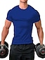 cheap Men&#039;s Casual T-shirts-Men&#039;s T shirt Tee Tee Solid Color Crew Neck Sports Gym Short Sleeve Clothing Apparel Sportswear Classic Muscle Esencial