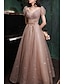 cheap Prom Dresses-A-Line Prom Party Dress Sparkle &amp; Shine Dress Prom Valentine‘s Day Floor Length Short Sleeve V Neck Tulle with Sequin 2024