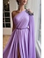 cheap Evening Dresses-A-Line Evening Gown Elegant Dress Formal Wedding Guest Sweep / Brush Train Sleeveless One Shoulder Capes Chiffon with Slit Shawl 2024