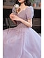 cheap Prom Dresses-A-Line Prom Party Dress Sparkle &amp; Shine Dress Prom Valentine‘s Day Floor Length Short Sleeve V Neck Tulle with Sequin 2024