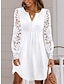 preiswerte schlichte Kleider-Damen Weißes Kleid Minikleid Kontrastspitze Taste Täglich Verabredung Urlaub Modisch Modern Rundhalsausschnitt Langarm Schwarz Weiß Farbe