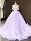 cheap Prom Dresses-Ball Gown Prom Dresses Floral Dress Wedding Quinceanera Court Train Short Sleeve Sweetheart Lace with Pleats Appliques 2024