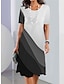 billige Kjoler med trykt mønster-Dame Geometrisk Fargeblokk Trykt mønster Crew-hals Mini kjole Daglig Kortermet Sommer Vår