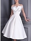 cheap Wedding Dresses-Bridal Shower Simple Wedding Dresses Mature Wedding Dresses Sheath / Column V Neck Sleeveless Knee Length Chiffon Bridal Gowns With Ruched Solid Color 2024