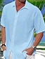 voordelige Hawaiiaanse zomerhemden voor heren-Voor heren Overhemd Overhemd met knopen Normaal shirt Zomer overhemd Strand hemd Wit blauw Korte Mouw Boom Grafische prints Revers Straat Vakantie Zak Kleding Modieus Vrije tijd Hawaii
