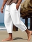 ieftine pantaloni de in-Bărbați Pantaloni de in Pantaloni de vară Pantaloni Decupați Pantaloni de plajă Cordon Talie elastică Simplu Confort Respirabil Lungime gambă Casual Zilnic Concediu Modă Stil Clasic Negru Alb