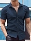 Χαμηλού Κόστους ανδρικά πουκάμισα casual-Ανδρικά Πουκάμισο με κουμπιά Casual πουκάμισο Καλοκαιρινό πουκάμισο Μαύρο Λευκό Ρουμπίνι Θαλασσί Σκούρο μπλε Κοντομάνικο Σκέτο Πέτο Δρόμος Διακοπές Βασικό Ρούχα Μοντέρνα Χαλάρωση