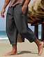 ieftine pantaloni de in-Bărbați Pantaloni de in Pantaloni de vară Pantaloni Decupați Pantaloni de plajă Cordon Talie elastică Simplu Confort Respirabil Lungime gambă Casual Zilnic Concediu Modă Stil Clasic Negru Alb
