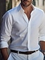 abordables Chemises habillées pour hommes-Homme Chemise Bleu Ciel Noir Blanche manche longue Plein Revers Printemps &amp; Automne Entreprise Casual Vêtement Tenue