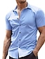 Χαμηλού Κόστους ανδρικά πουκάμισα casual-Ανδρικά Πουκάμισο με κουμπιά Casual πουκάμισο Καλοκαιρινό πουκάμισο Μαύρο Λευκό Ρουμπίνι Θαλασσί Σκούρο μπλε Κοντομάνικο Σκέτο Πέτο Δρόμος Διακοπές Βασικό Ρούχα Μοντέρνα Χαλάρωση
