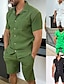 abordables chemises décontractées pour hommes-Homme 2 Pièces Ensemble chemises Chemise boutonnée Chemise décontractée Chemisette Chemise d&#039;été Noir Blanche Vert Vert Véronèse Manche Courte Plein Collier de camp du quotidien Vacances Poche avant