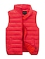 cheap Men&#039;s Vest-Men&#039;s Puffer Vest Gilet Quilted Vest Cardigan Daily Going out Casual Fall Pocket Polyester Plain Zipper Stand Collar Regular Fit Black Red Navy Blue Gray Vest