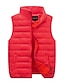 billige Herre Puffer Vest-Herre Vattert vest Cardigan Ut på byen Fritid Alle årstider Lomme Polyester عادي Glidelås Høy krage Normal Svart Rød Navyblå Grå Vest
