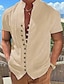 Χαμηλού Κόστους Βαμβακερό Λινό Πουκάμισο-Ανδρικά λινό πουκάμισο Καλοκαιρινό πουκάμισο Πουκάμισο παραλίας Μαύρο Λευκό Ανθισμένο Ροζ Κοντομάνικο Σκέτο Όρθιος Γιακάς Ανοιξη καλοκαίρι Χαβανέζα Αργίες Ρούχα Βασικό